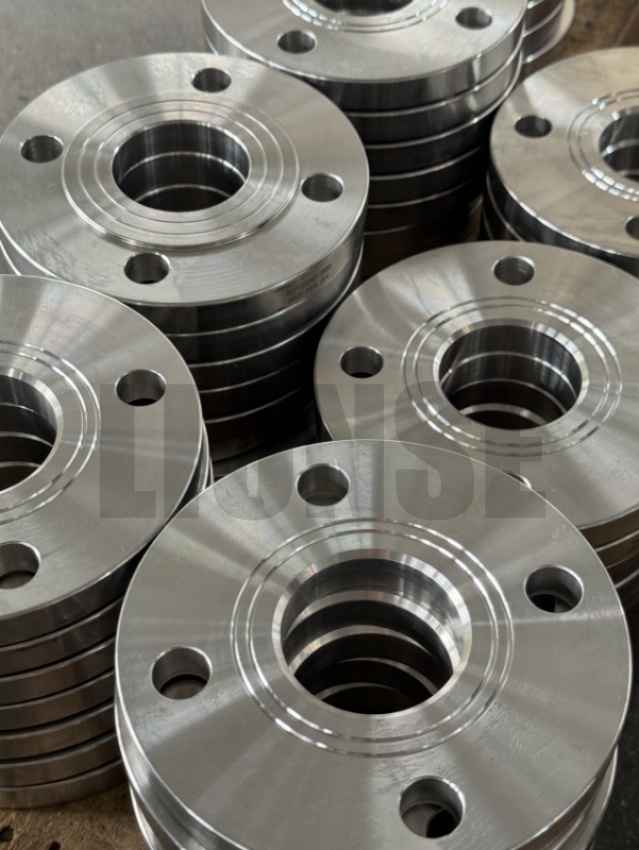DN50 SS304 Hydraulic Test Flange